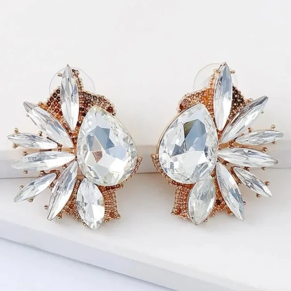 Luxury Look Rhinestone Stud Earrings - Picture 6 of 8